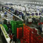 Devengo en exportaciones: por qué la fecha de tu factura no define tu Impuesto a la Renta (y los reparos que la SUNAT ya está levantando)